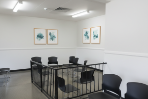 Gemini_Generated_Image_24s8vx24s8vx24s8